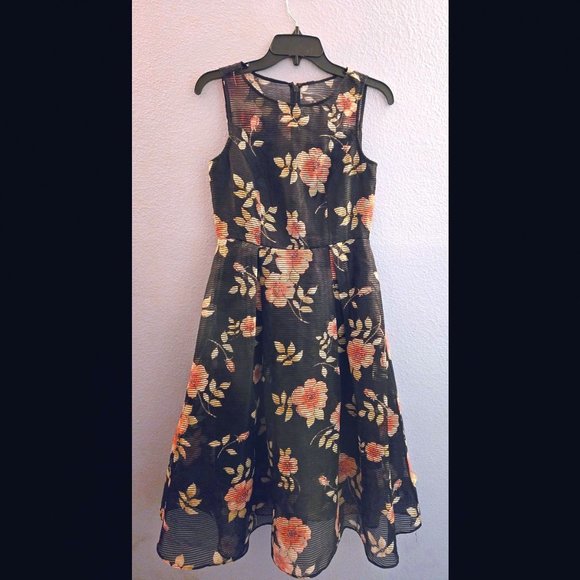 Adrianna Pappell Sheer-Striped Floral Midi Dress, Fitted and Lined, Size 2 - Picture 1 of 4